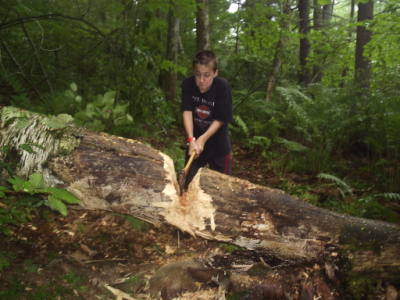 Clearing a trail 